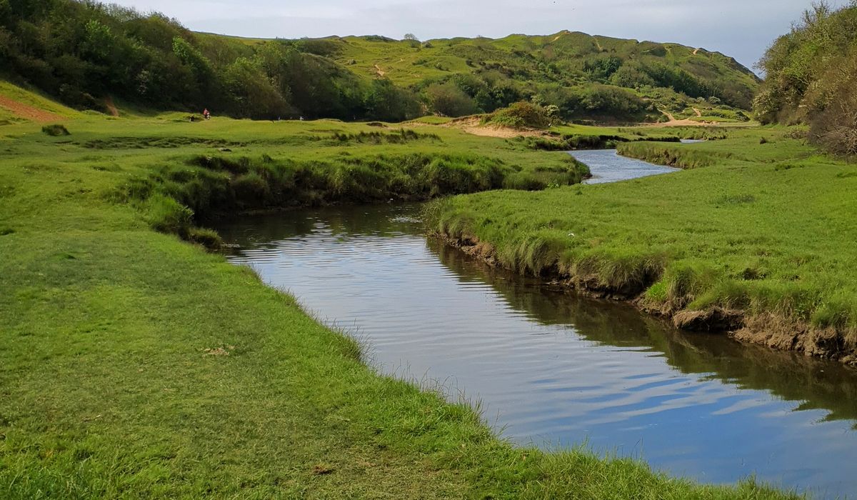 Dell Digest